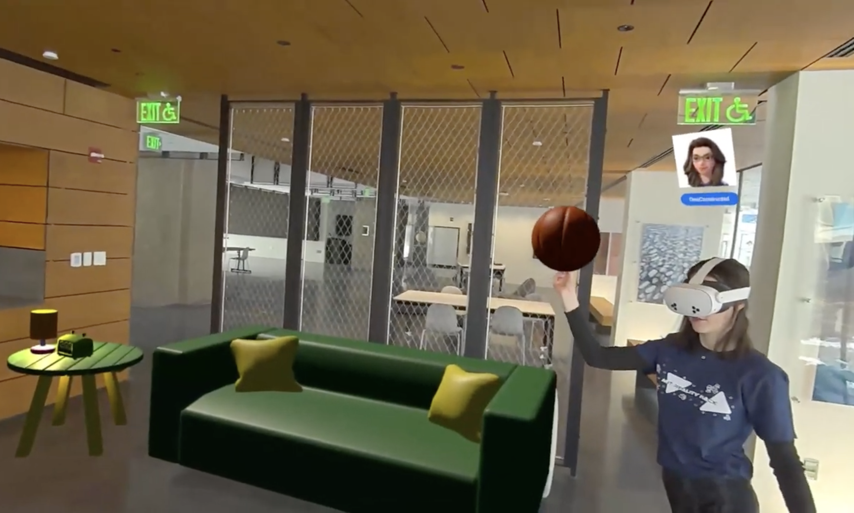 Project Rosa preview